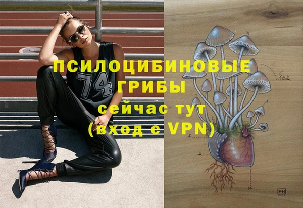 молекула духа Абдулино